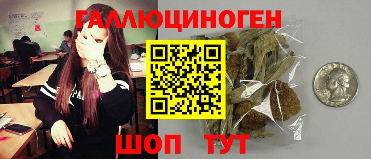 Галлюциногенные грибы мицелий Каспийск