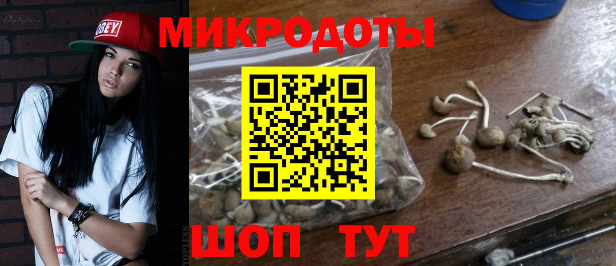 Каспийск  Псилоцибиновые грибы GOLDEN TEACHER  Вход с VPN  Псилоцибиновые грибы MAGIC MUSHROOMS 